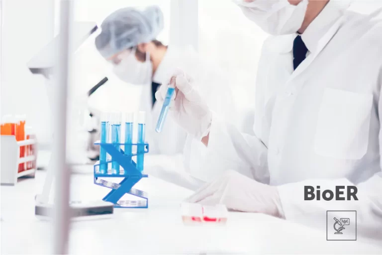 Receptivitatea endometrială – BioER