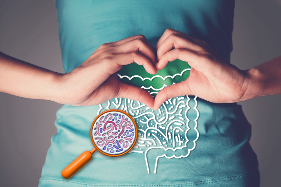 Person forms a heart with hands over an illustrated digestive system and a magnifying glass showing gut bacteria